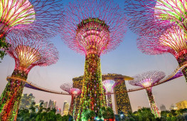 Tour Singapore 4N3D: Garden by the Bay - Đập nước Marina Barrage - Johor Bahru, bay Vietjet Air
